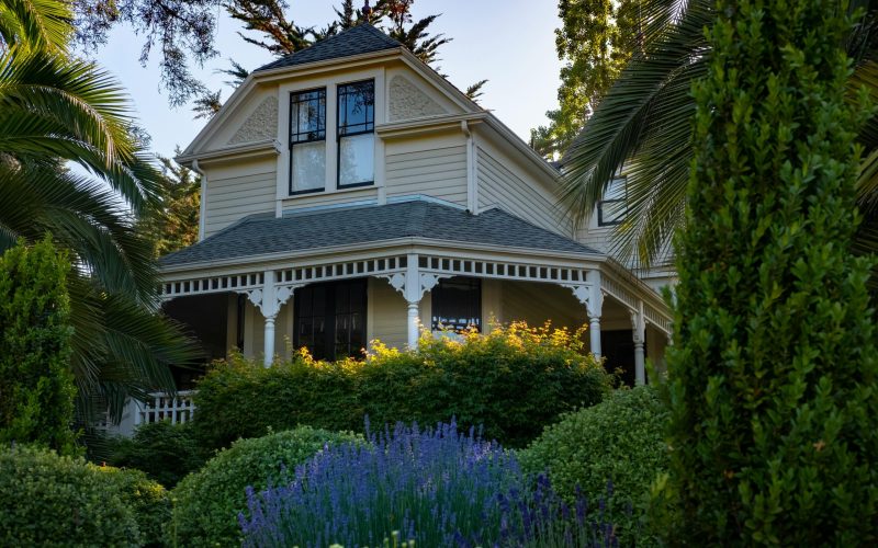 pexels-davidmcelwee-12238679